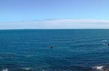 Alenes del Mar - Foto 5