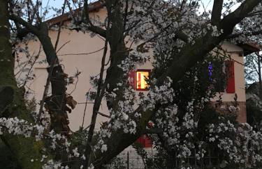 Barchessa Rossetti - Photo 34