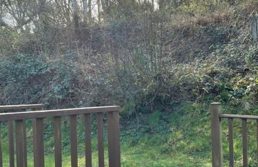 8 Oakridge, St Mellion - Photo 31