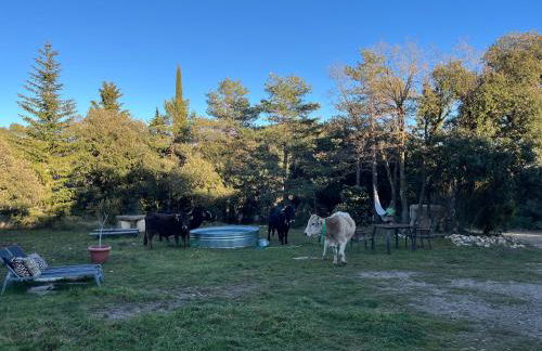 Masiadenjust - Foto 4