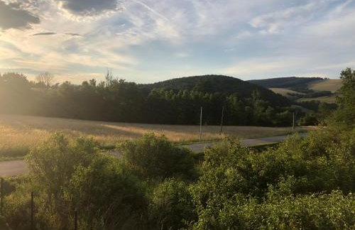 Przylesie Domki - Foto 20