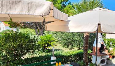 Apartment Milada - Photo 2, Garden, Garden view