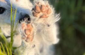 Ferienwohnung RhönKiss - Foto 36