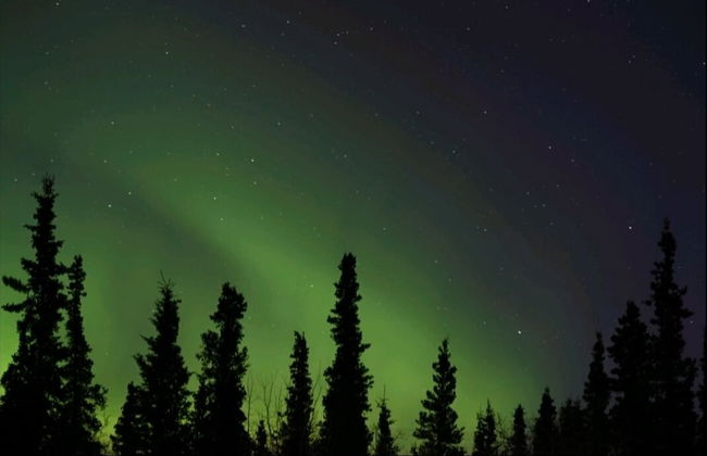 Denali Wild Stay - Foto 18