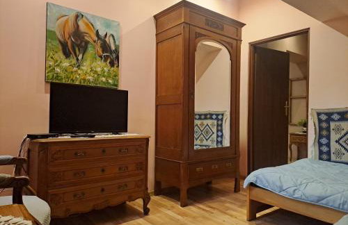 Ropuszy Dwór - Foto 12