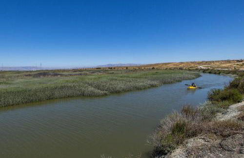 Palo Alto 1br w gym pool wd nr Stanford SFO-1260 - Foto 38