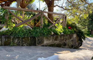 Agriturismo L'Olivara - Foto 18