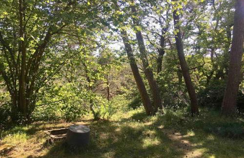 Ferienhaus im Wald an der Weinstrasse - Foto 19