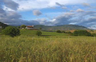 Auberge Santu Martine: cottage with pool (Sughera) - Foto 45