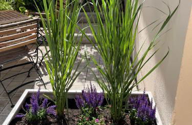 65qm Wohnung Klosterblick im historischen Pfarrhaus Pielenhofen - Foto 21