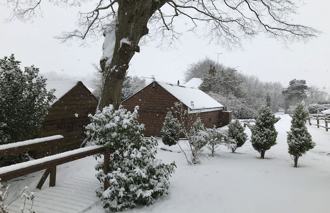 Holmdale Holiday Cottages - Foto 26