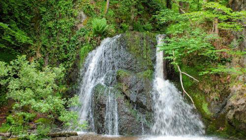 Pine Lodge - Uk7049 - Photo 5