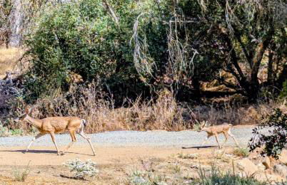 Sierra Escape RV - Photo 13