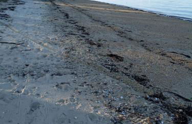 Valle Inclan - Foto 21