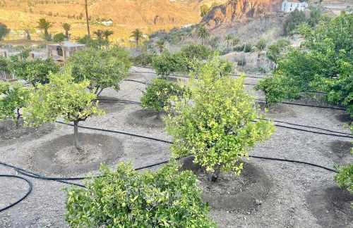 casa rural LA LIMERA con piscina privada - Foto 57