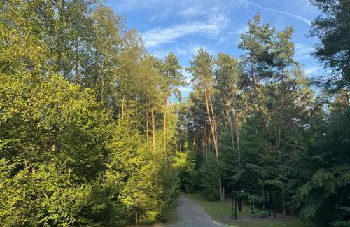 Forest Cabin Nest-Family Retreat for 7 with Sauna & Hot tub - Foto 25