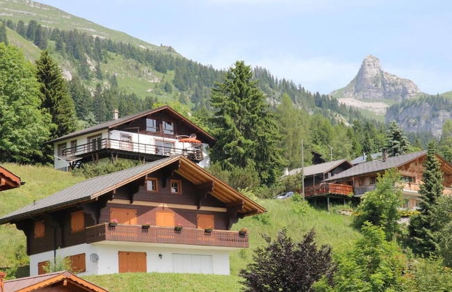 La petite Silène - Foto 23