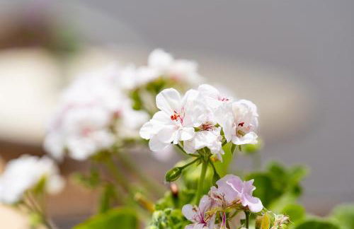 Asteri Studios - Photo 34