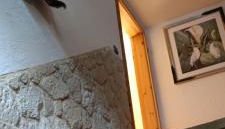 Mitten in der Natur, ganz nah bei Dresden. - Foto 4