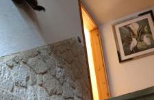 Mitten in der Natur, ganz nah bei Dresden. - Foto 4