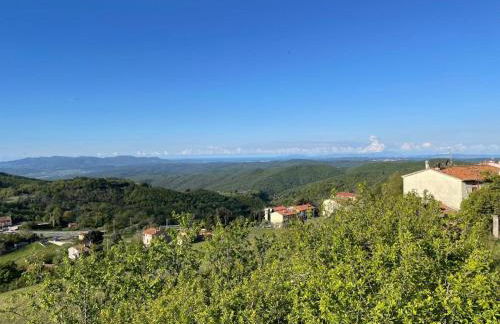 Vincent van Gogh Dolce Vita - Foto 30