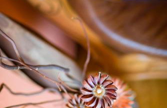 Apartmani Mia - Foto 32