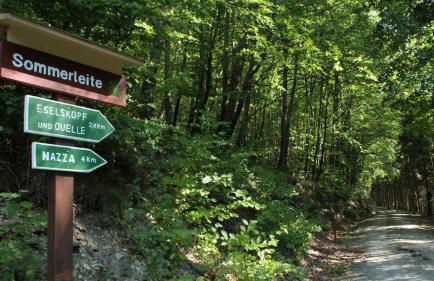 Landgasthof Probstei Zella - Foto 69