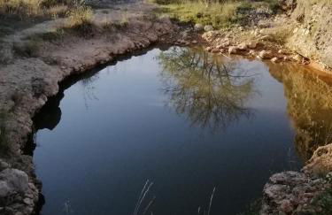 Gegant de Pedra Apartaments - Photo 32