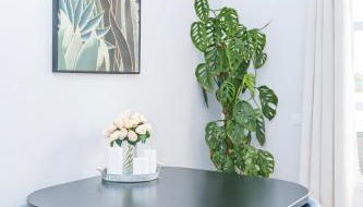 StayinMachico - Foto 5