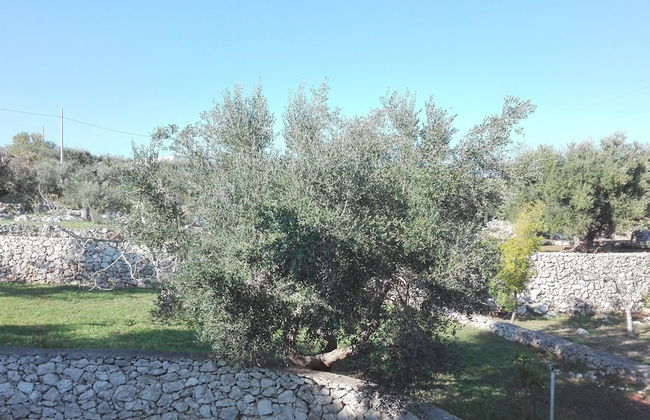 Villa Giulia - Photo 23