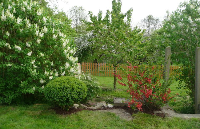 Hof Kiebitz - In Ostrau - Foto 16