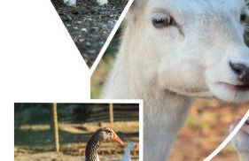 Monte do Lago, Pegões - Foto 56