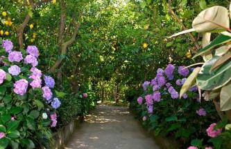 Agriturismo La Lobra - Foto 114