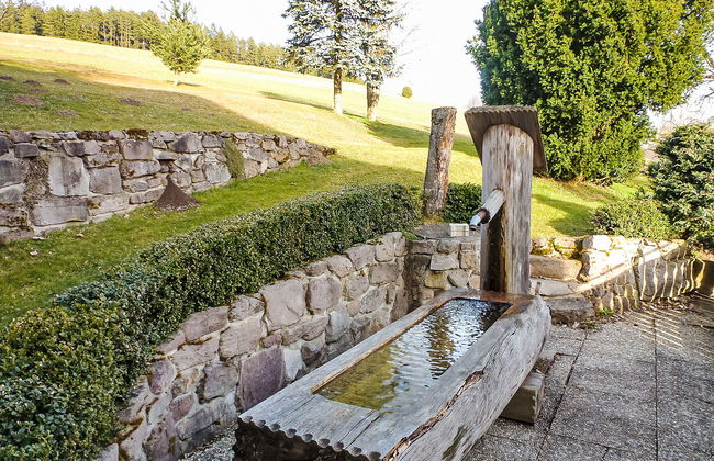 2 bedroom Apartment in Unterkirnach with garden and terrace - Photo 13