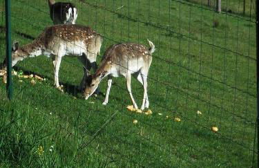 La Manufacture Royale de Bains - Foto 77