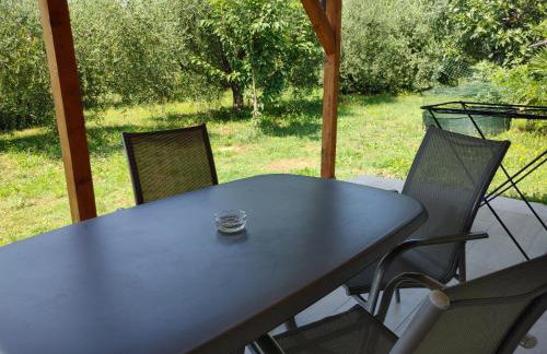 green garden - Photo 1