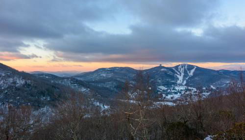 Bear The View - Foto 2, Other