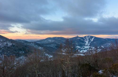 Bear The View - Foto 2