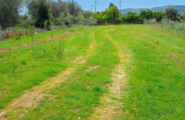 Masseria Causio - Photo 31