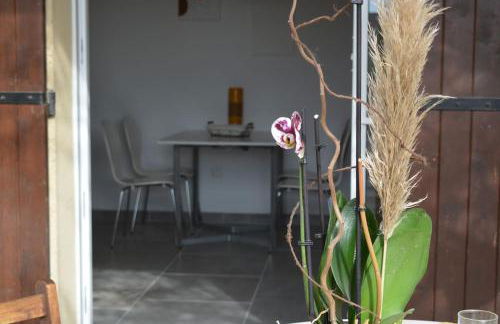 Le mas de la joëlette - Foto 16