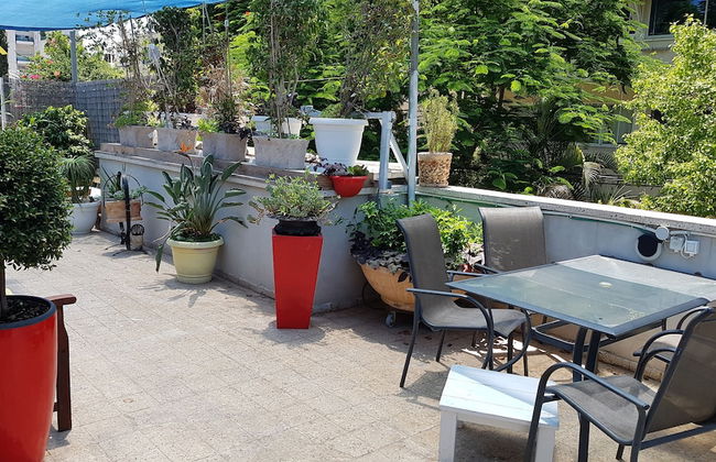 INDIGO TLV - Foto 12