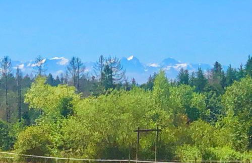 Pfaffensteghof - Foto 27