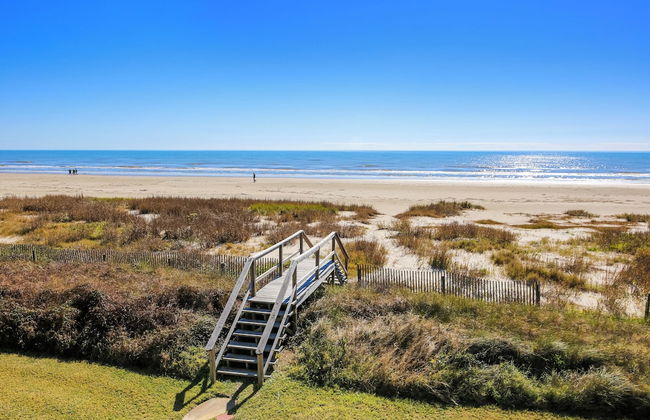 Barefoot Pelican - Foto 15