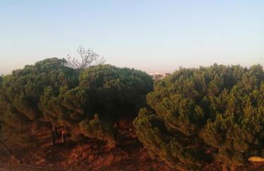 Dreamly Sea - Foto 25