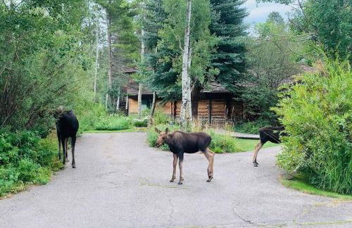 Aspen's Cabin - Foto 19