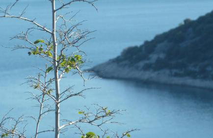 House Meli - Photo 52