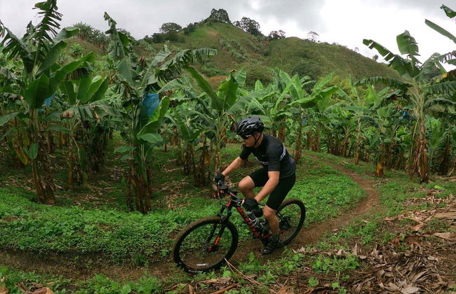 Calarcá Coffee Bike Tour - Photo 1