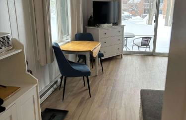 Shanty Creek, Condo, Golf ,Sleeps 4, Pets welcome! - Foto 24