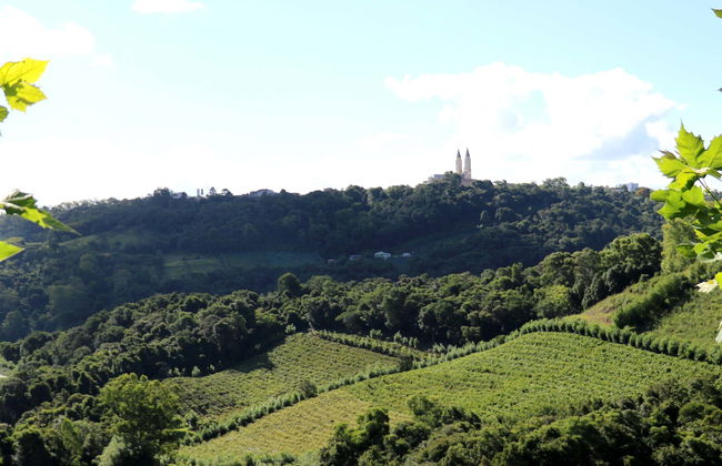 Visita a la bodega Salton + Degustación de cachaça - Foto 1