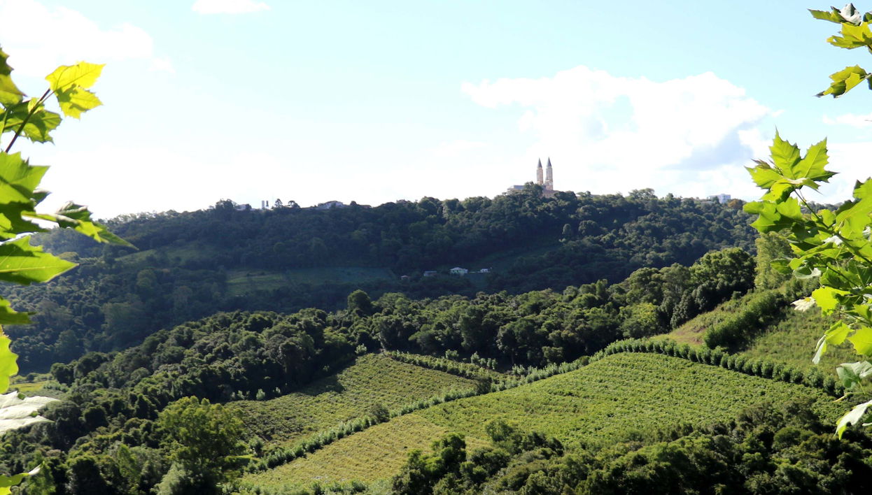 Visita a la bodega Salton + Degustación de cachaça